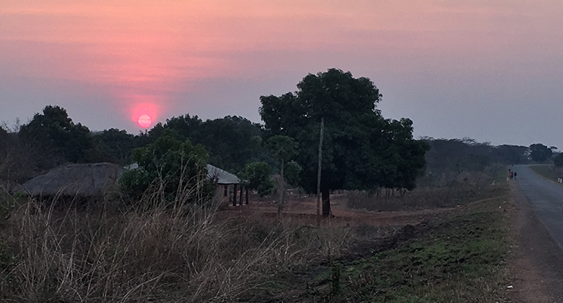 In December, Fura acquired Cobadale Ltd., which owns an 80 percent interest in four ruby licenses in Montepuez, Mozambique. Pictured here is of one of its mining areas in the country. In December, Fura acquired Cobadale Ltd., which owns an 80 percent interest in four ruby licenses in Montepuez, Mozambique. Pictured here is of one of its mining areas in the country.