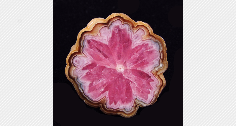 This trapiche rhodochrosite from the Capillitas Mine in Catamarca, Argentina, is 30 mm across and weighs 35 carats. It was likely mined in the 1960s, gem and mineral dealer <a href="http://www.russbehnke.com/" target="_blank" rel="noopener noreferrer">Russ Behnke</a> said. This trapiche rhodochrosite from the Capillitas Mine in Catamarca, Argentina, is 30 mm across and weighs 35 carats. It was likely mined in the 1960s, gem and mineral dealer <a href="http://www.russbehnke.com/" target="_blank" rel="noopener noreferrer">Russ Behnke</a> said.
