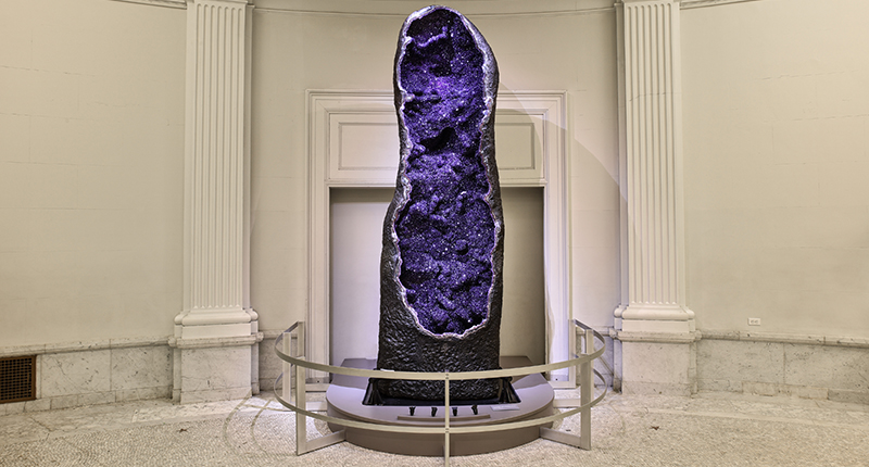 This 12-foot-tall amethyst geode, recently acquired from Uruguay, will stand in the Grand Gallery through the holiday season, and then will be a centerpiece in the new halls when they open in 2019.