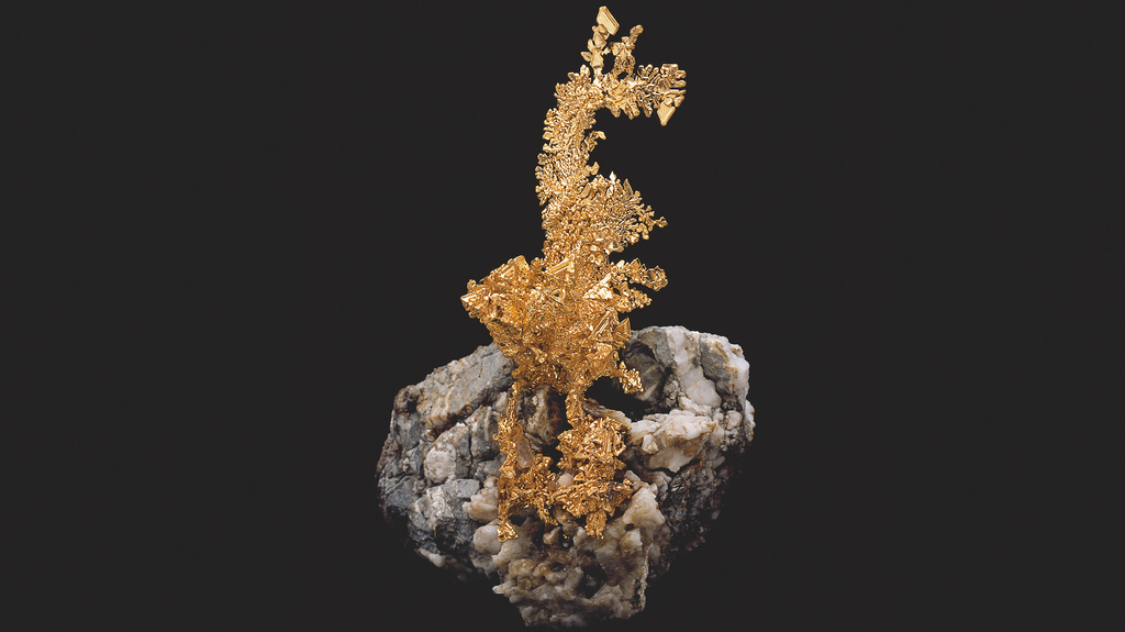 “The Dragon” features gold on quartz. It came from the Colorado Quartz Mine in California and is housed at Houston’s Museum of Natural Science. “The Dragon” features gold on quartz. It came from the Colorado Quartz Mine in California and is housed at Houston’s Museum of Natural Science.
