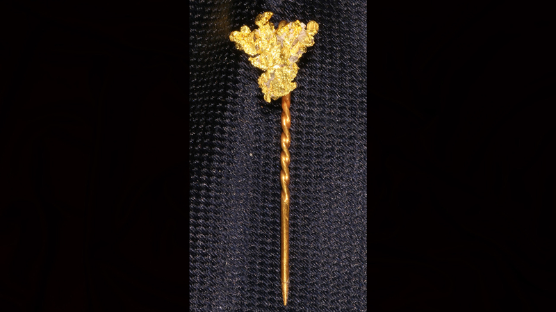 A 39 mm stickpin made of crystalline gold recovered in 2014 from a seabed debris field where the S.S. Central America sank (Photo credit: Holabird Western Americana Collections)