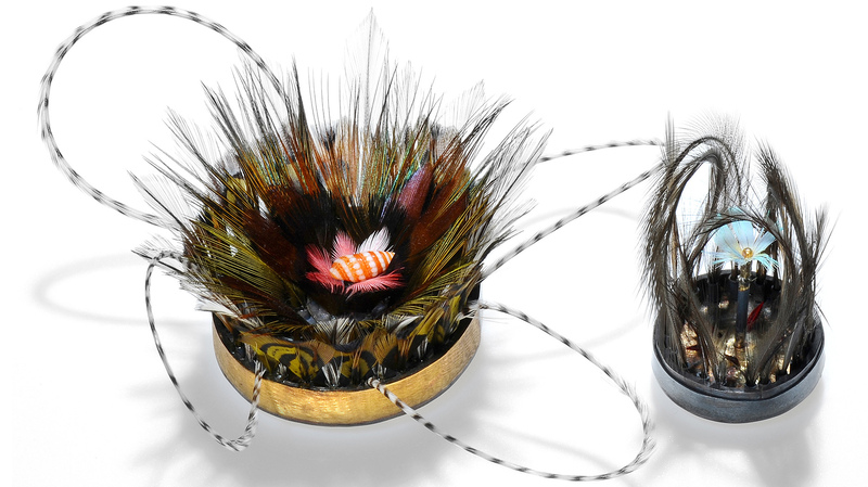 Gould works with natural objects she finds, such as feathers and shells, as seen in these sculptural feather brooches.