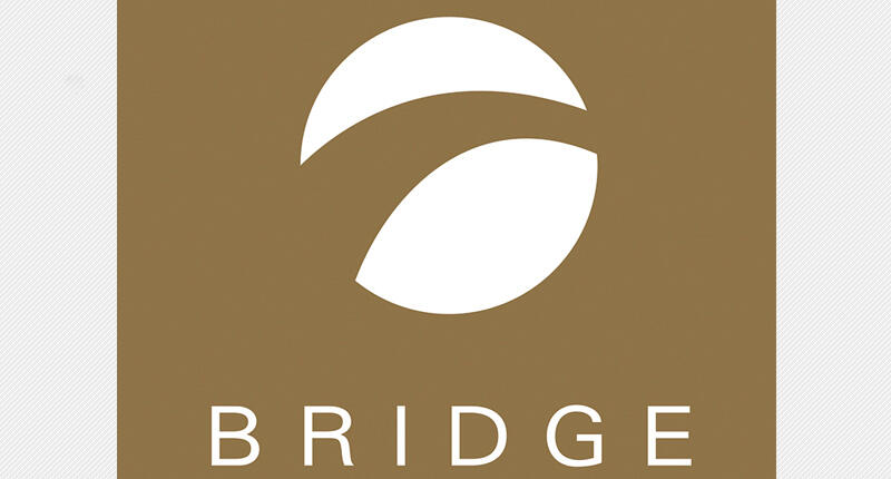2016_Stuller-bridge-logo.jpg