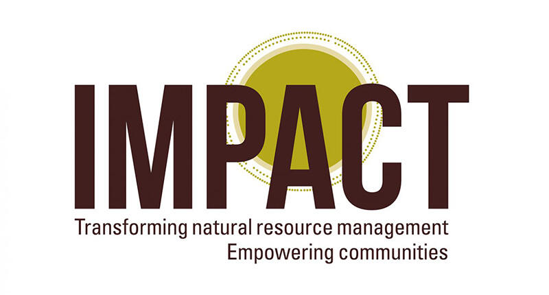 2017_IMPACT-logo.jpg
